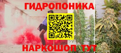 герыч Можга