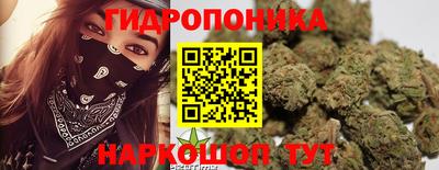 герыч Можга