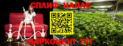 эйфоретик Нальчик