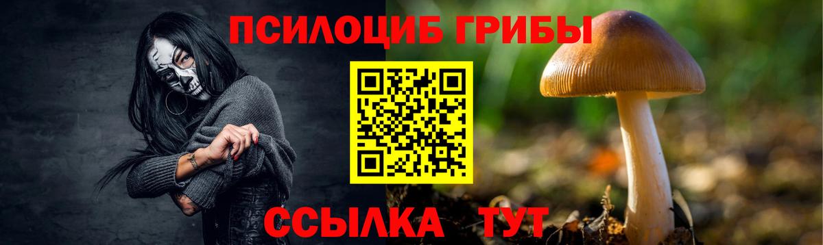 Галлюциногенные грибы Psilocybe  Вход с VPN  Ялуторовск 